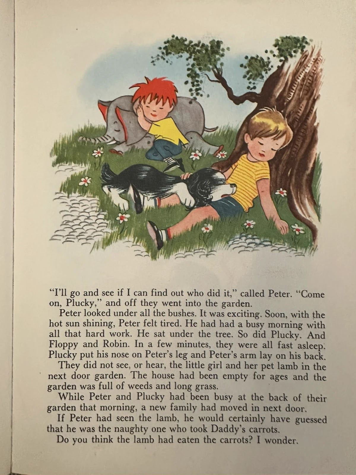 My Pets Story Book - Lorrie Leete-Hodge