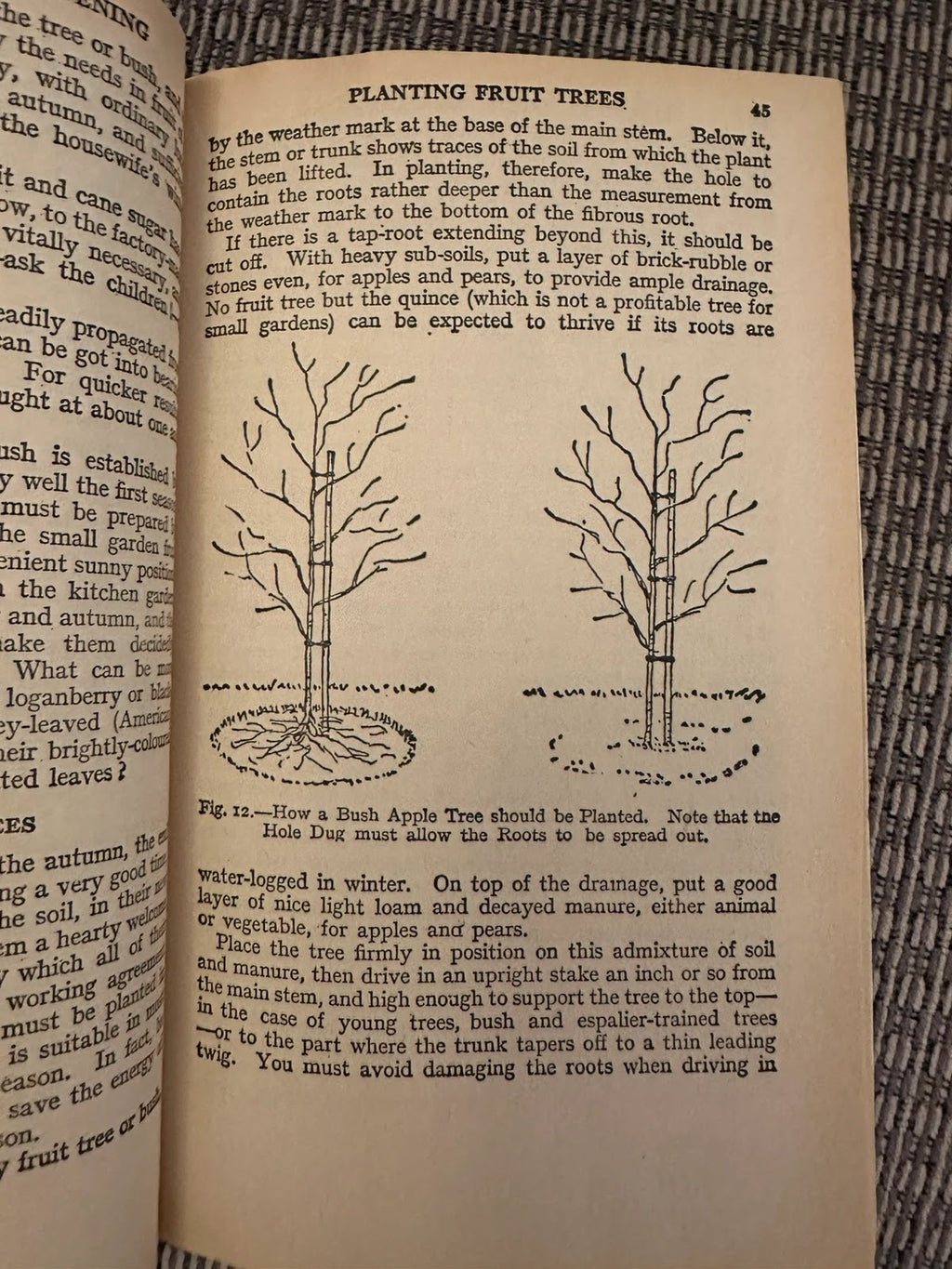 Foulsham's Complete Guide to Gardening