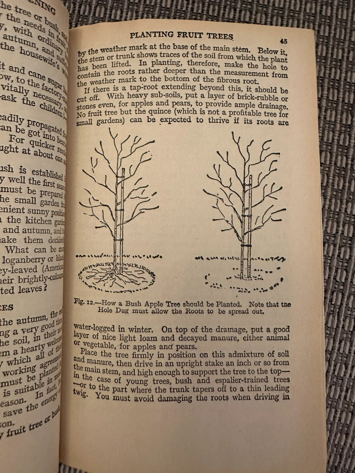 Foulsham's Complete Guide to Gardening