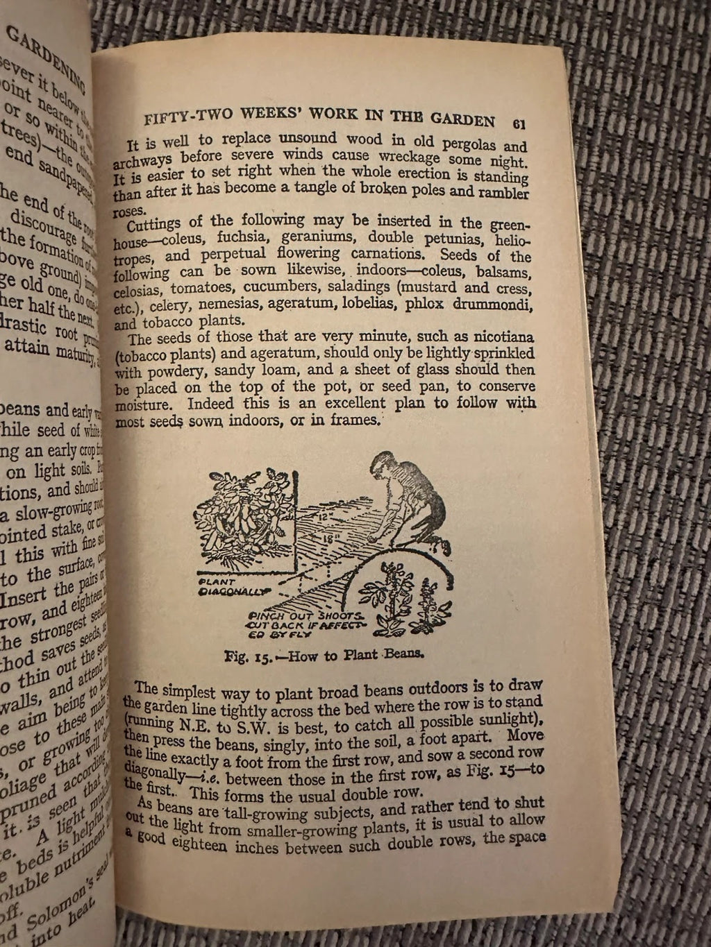 Foulsham's Complete Guide to Gardening