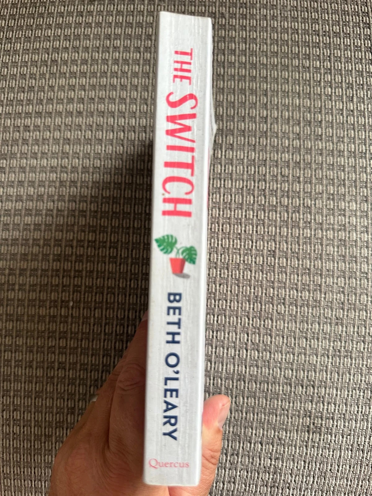 The Switch - Beth O'Leary