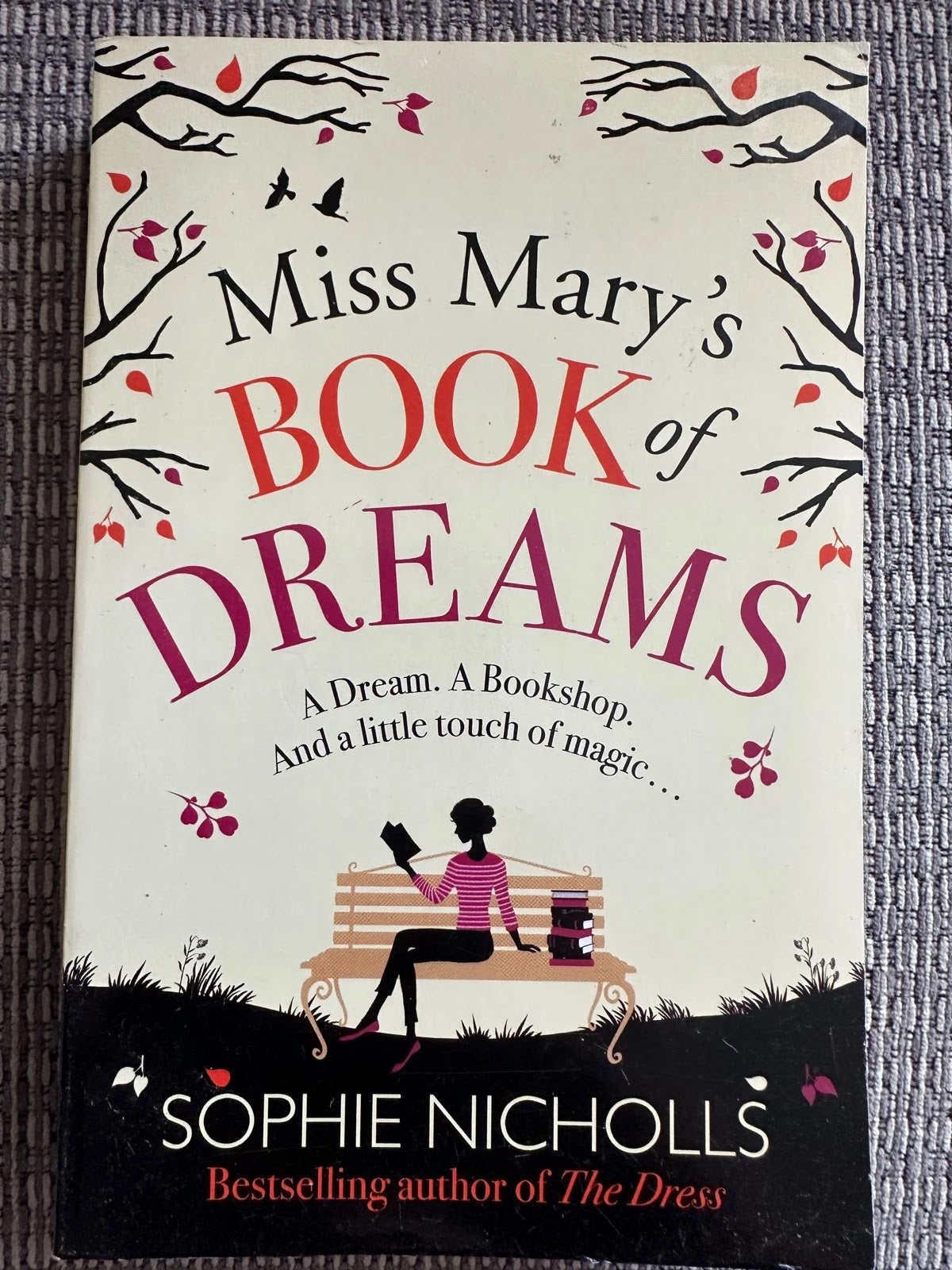 Miss Mary's Book of Dreams - Sophie Nicholls