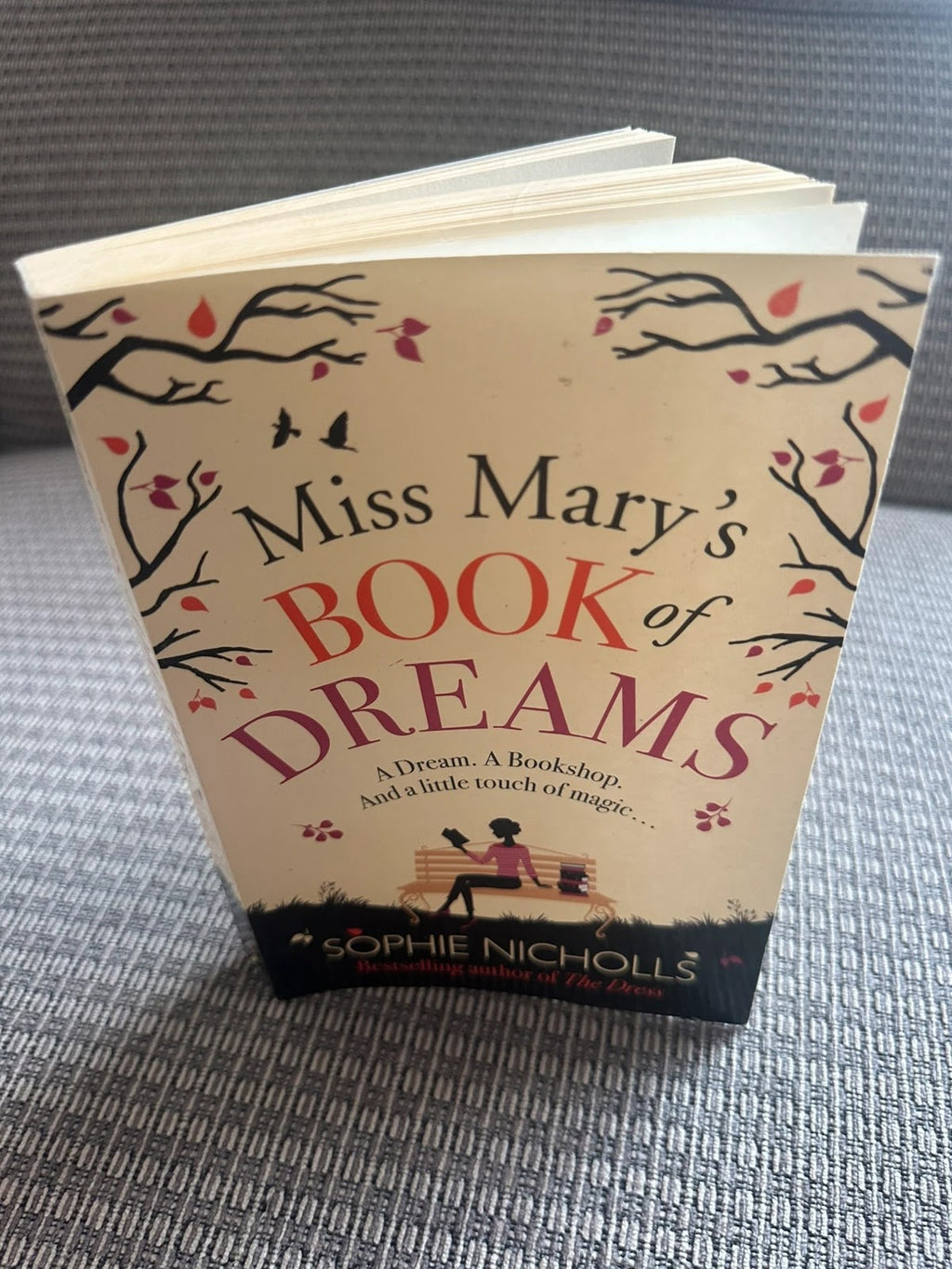 Miss Mary's Book of Dreams - Sophie Nicholls