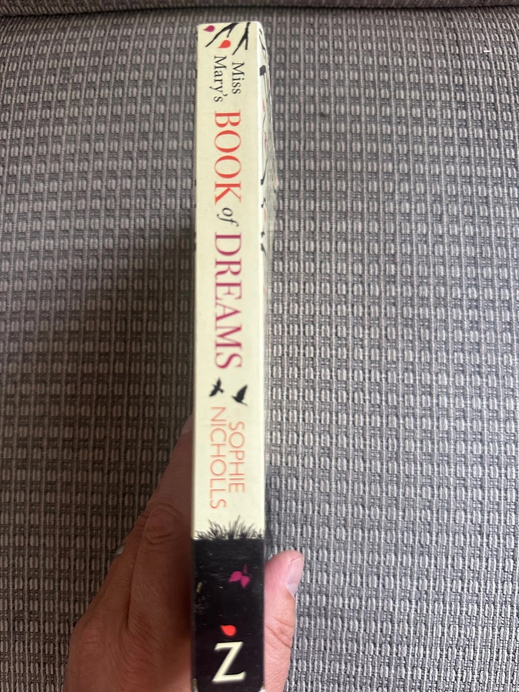 Miss Mary's Book of Dreams - Sophie Nicholls