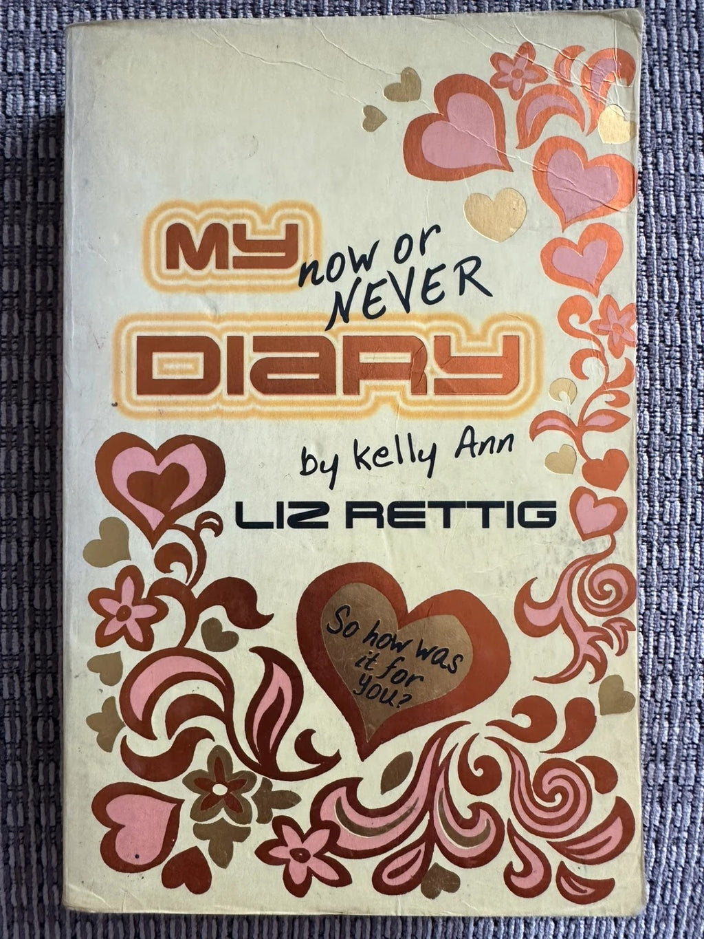 My Now or Never Diary - Liz Rettig