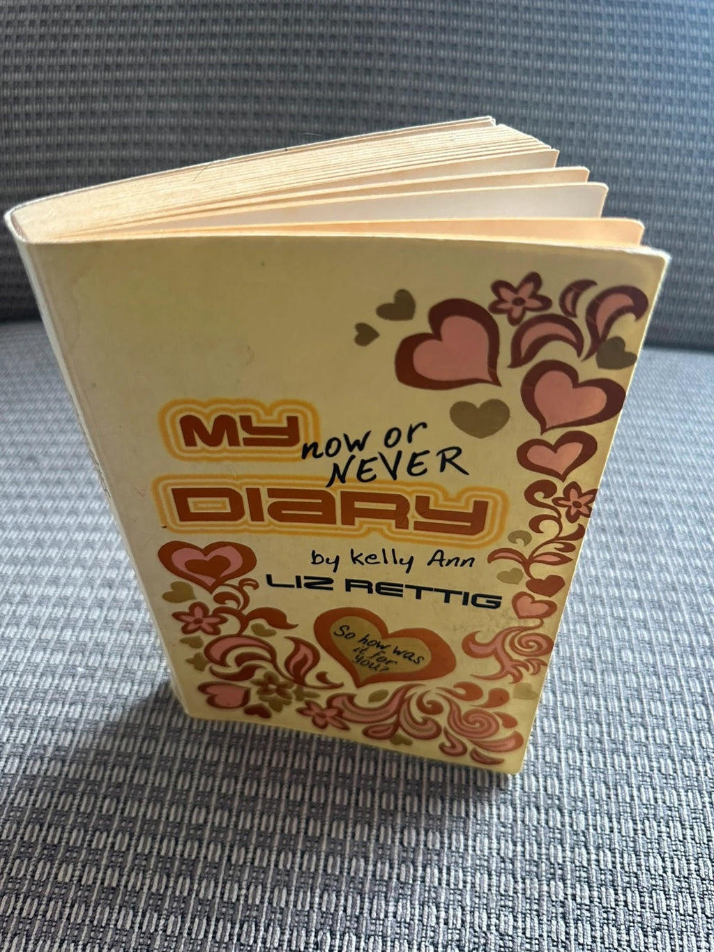My Now or Never Diary - Liz Rettig