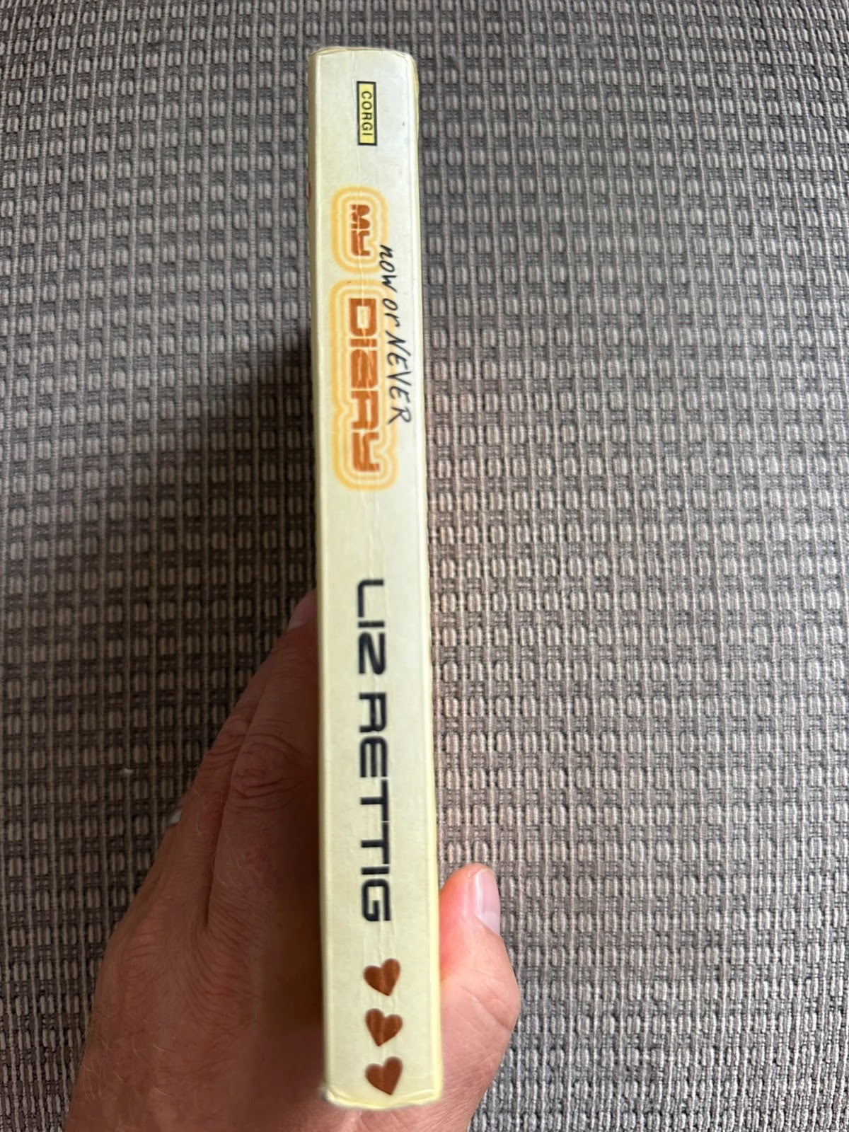 My Now or Never Diary - Liz Rettig