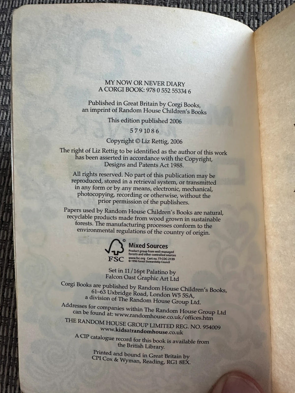 My Now or Never Diary - Liz Rettig