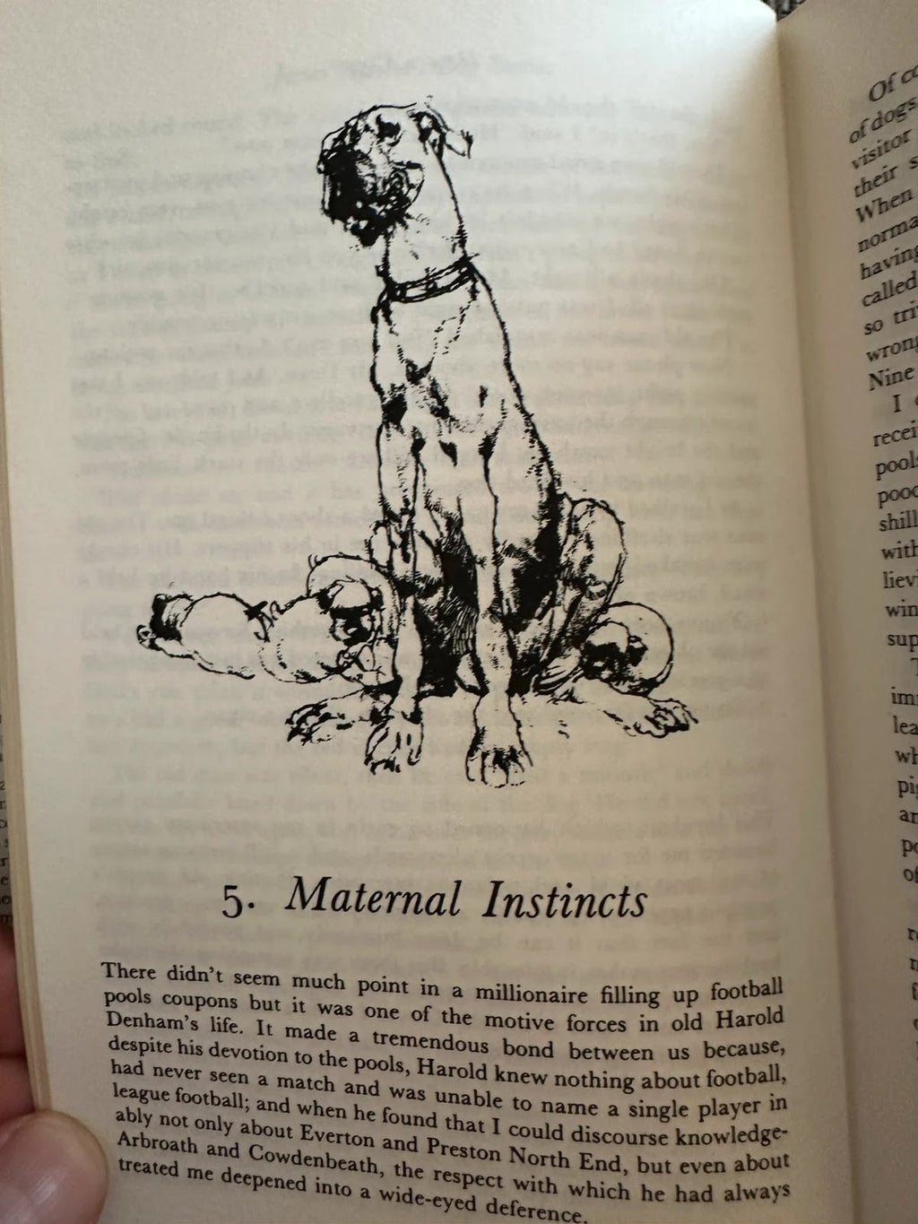 James Herriot's Dog Stories - James Herriot