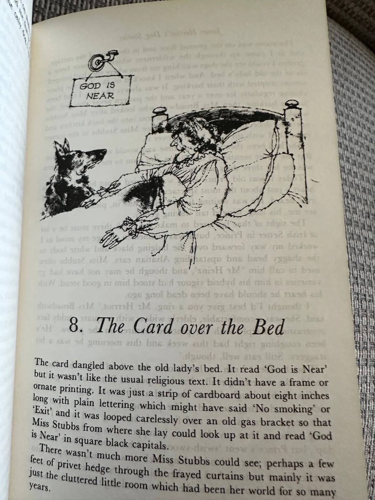 James Herriot's Dog Stories - James Herriot