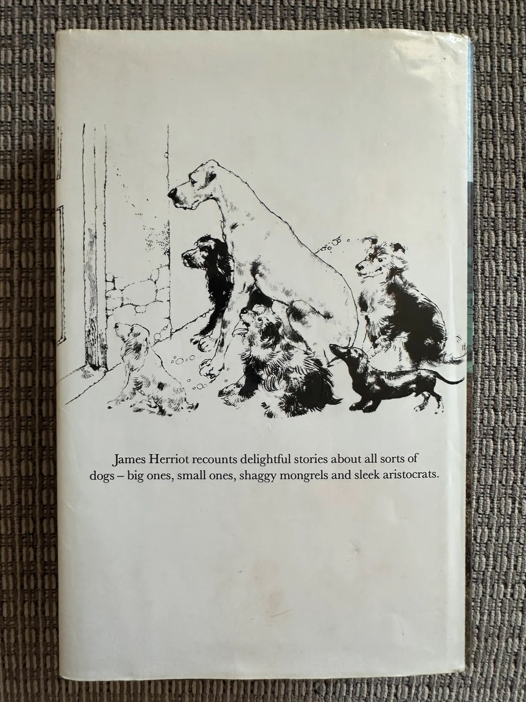 James Herriot's Dog Stories - James Herriot