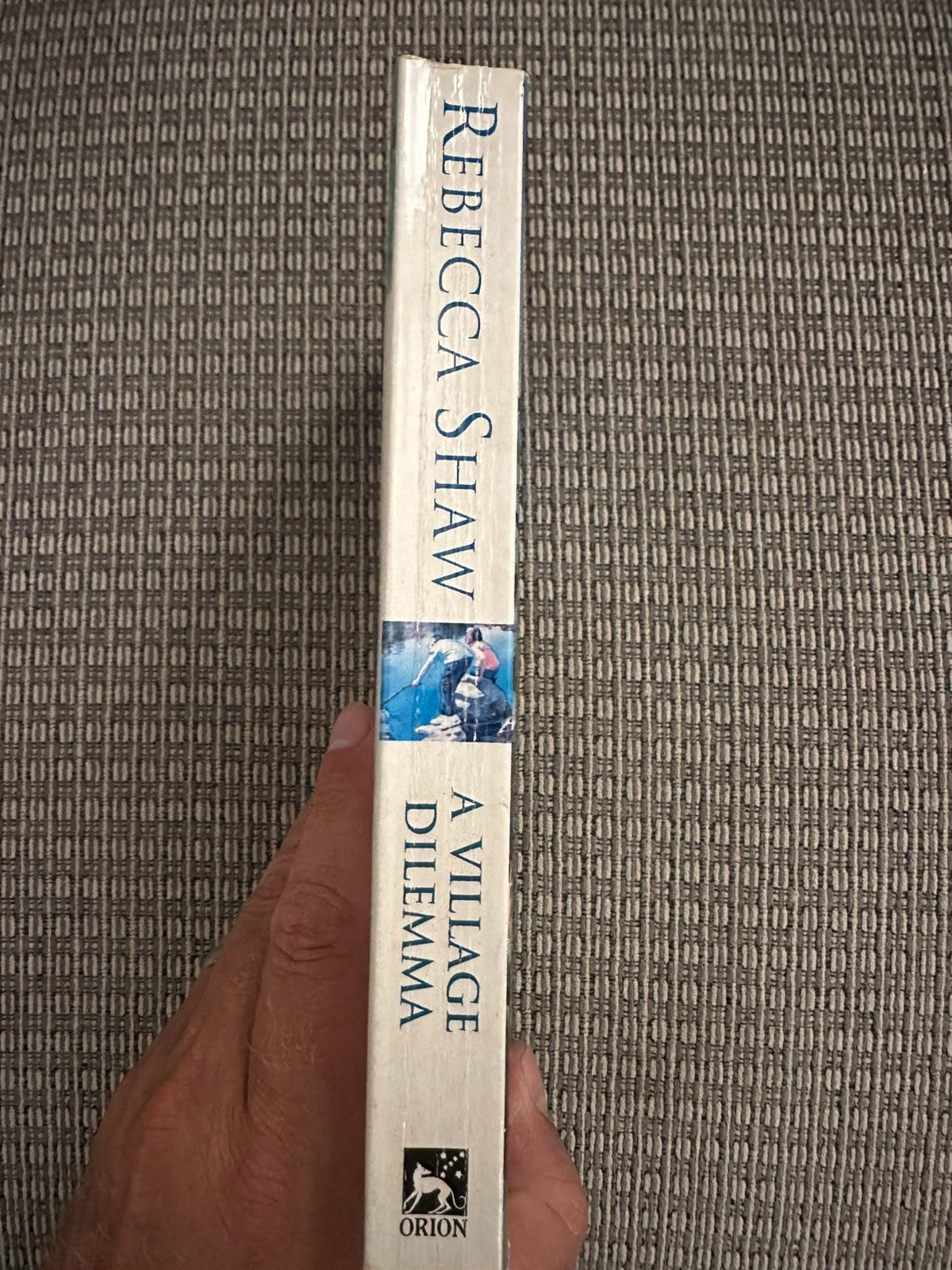 A Village Dilemma - Rebecca Shaw