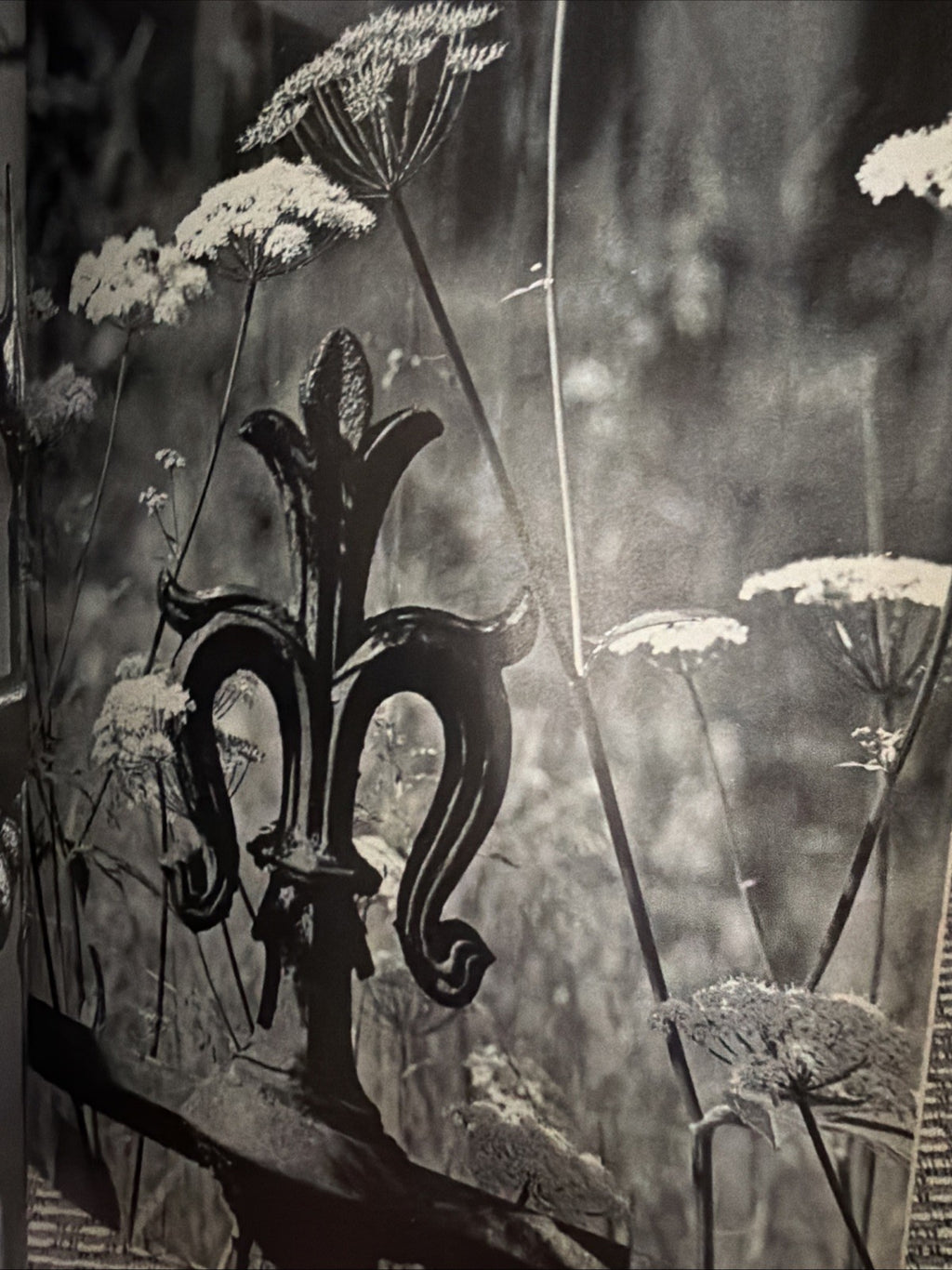 Cast Iron - John Gay